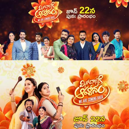 Zee Telugu Serial Soyagam