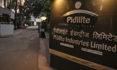 Pidilite