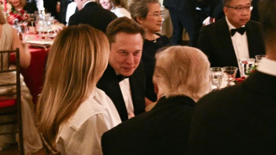 Elon Musk,