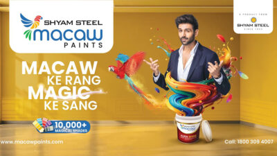 Macaw Paints