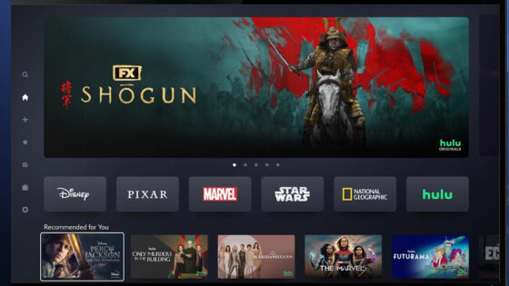 Disney Plus and Hulu