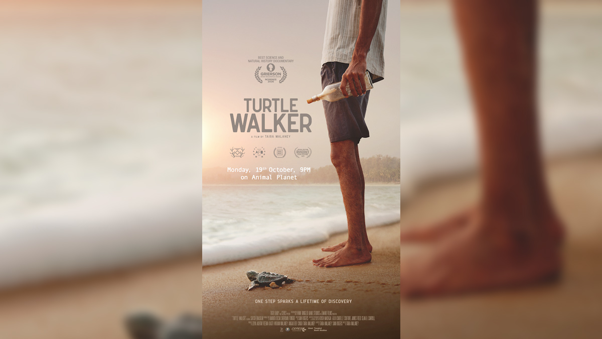 Animal Planet to premiere Turtle Walker